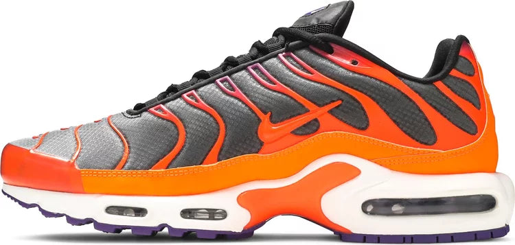 Nike Air Max Plus TN 'COLOUR FLIPS DARK'