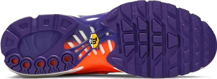 Nike Air Max Plus TN 'COLOUR FLIPS DARK'